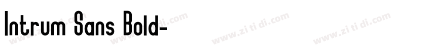 Intrum Sans Bold字体转换